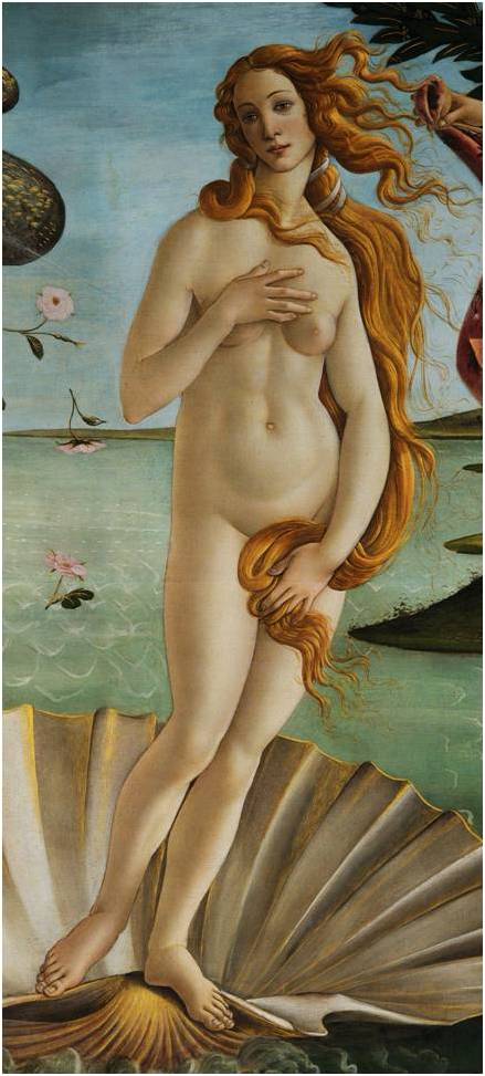La Naissance De Venus De Botticelli
